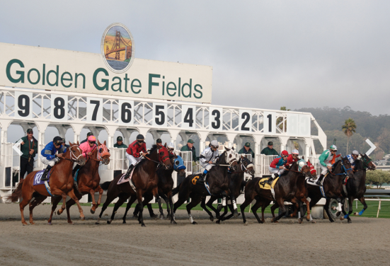 golden gate fields free picks