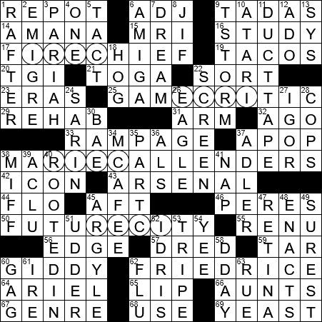 holed crossword clue