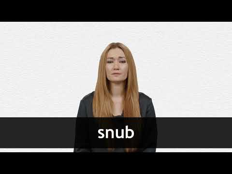 snubs meaning in telugu