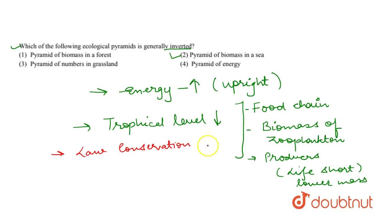 which of the following ecological pyramids is generally inverted