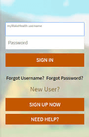 mywakehealth login