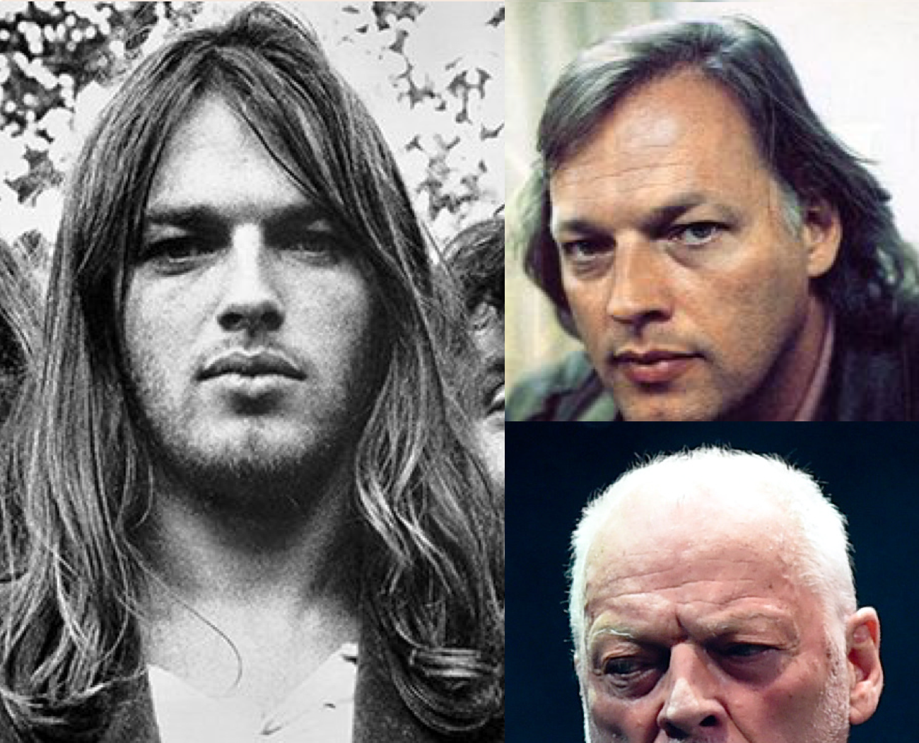 david gilmour hair