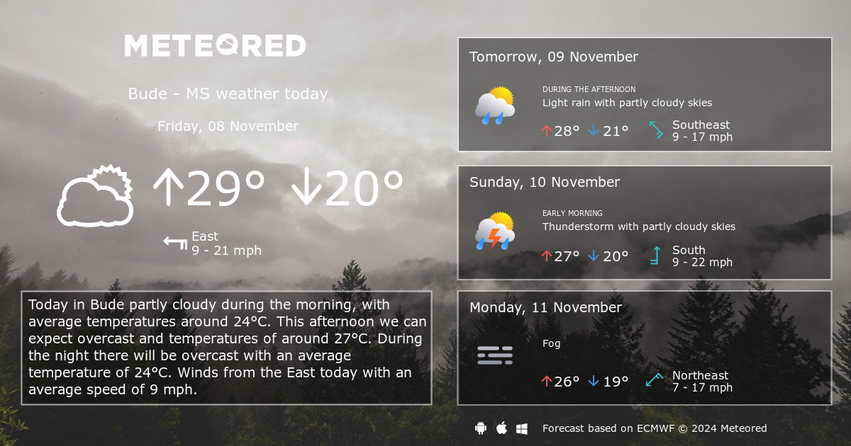 14 day weather bude