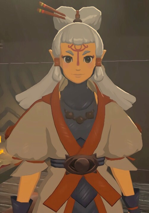 botw paya