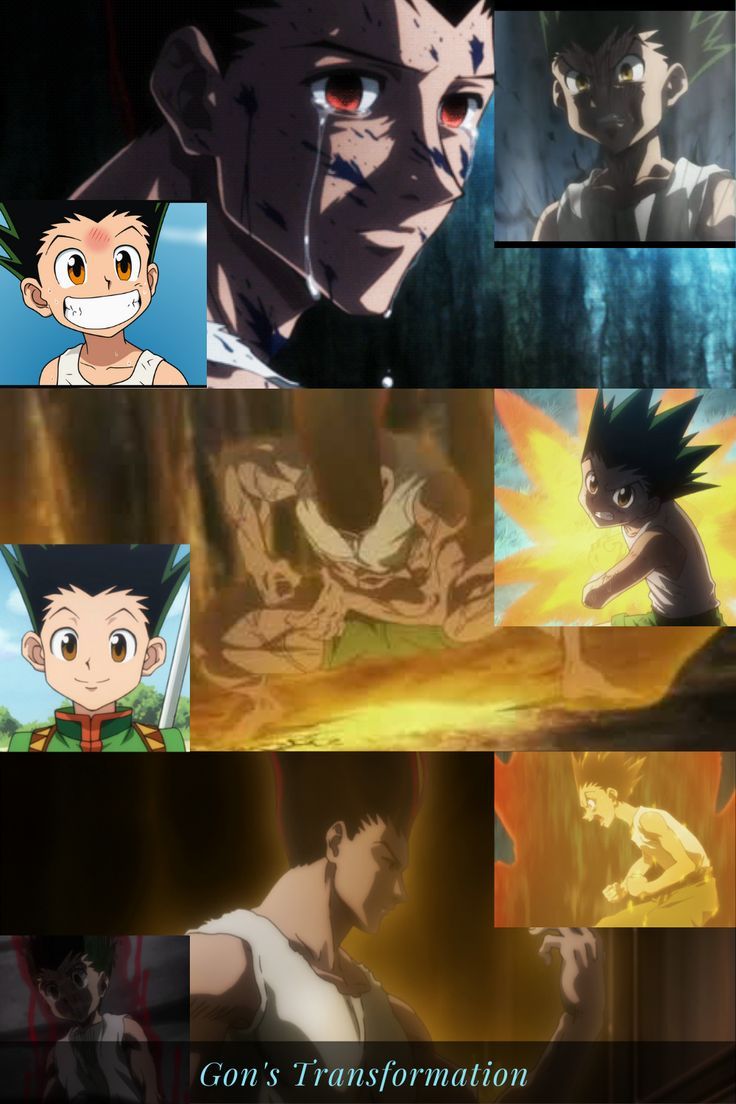 gon hunter x hunter transformation