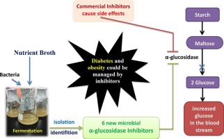 alpha glucosidase inhibitors