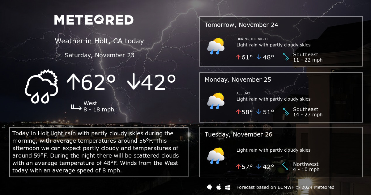 weather forecast holt