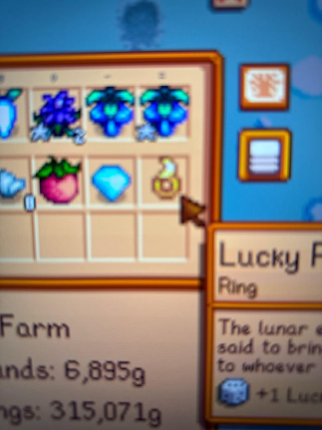 lucky ring stardew