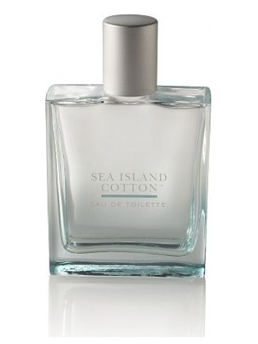 sea cotton bath and body works