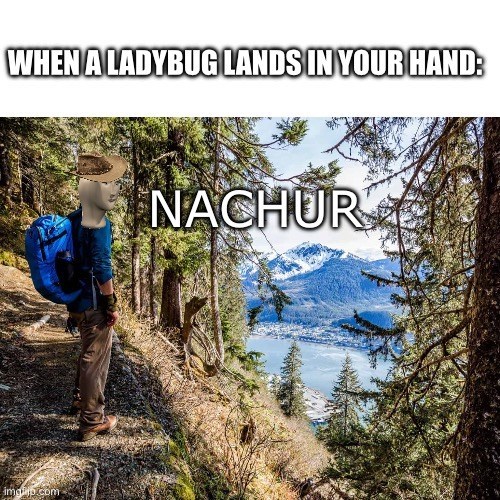 meme hiking