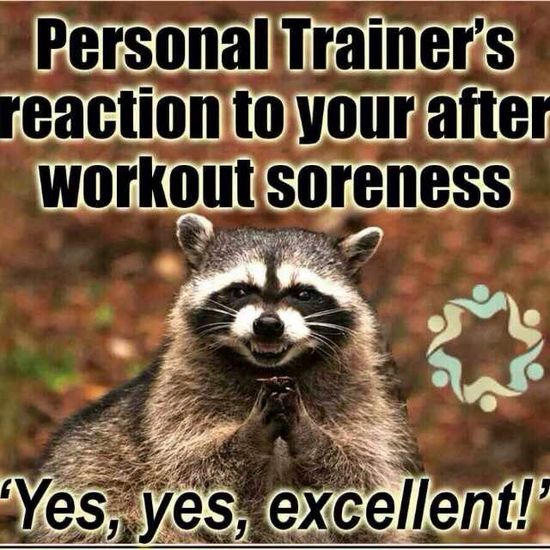 funny personal trainer quotes