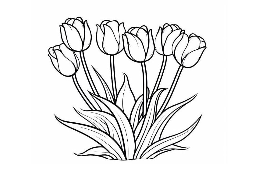 flower coloring pages to print