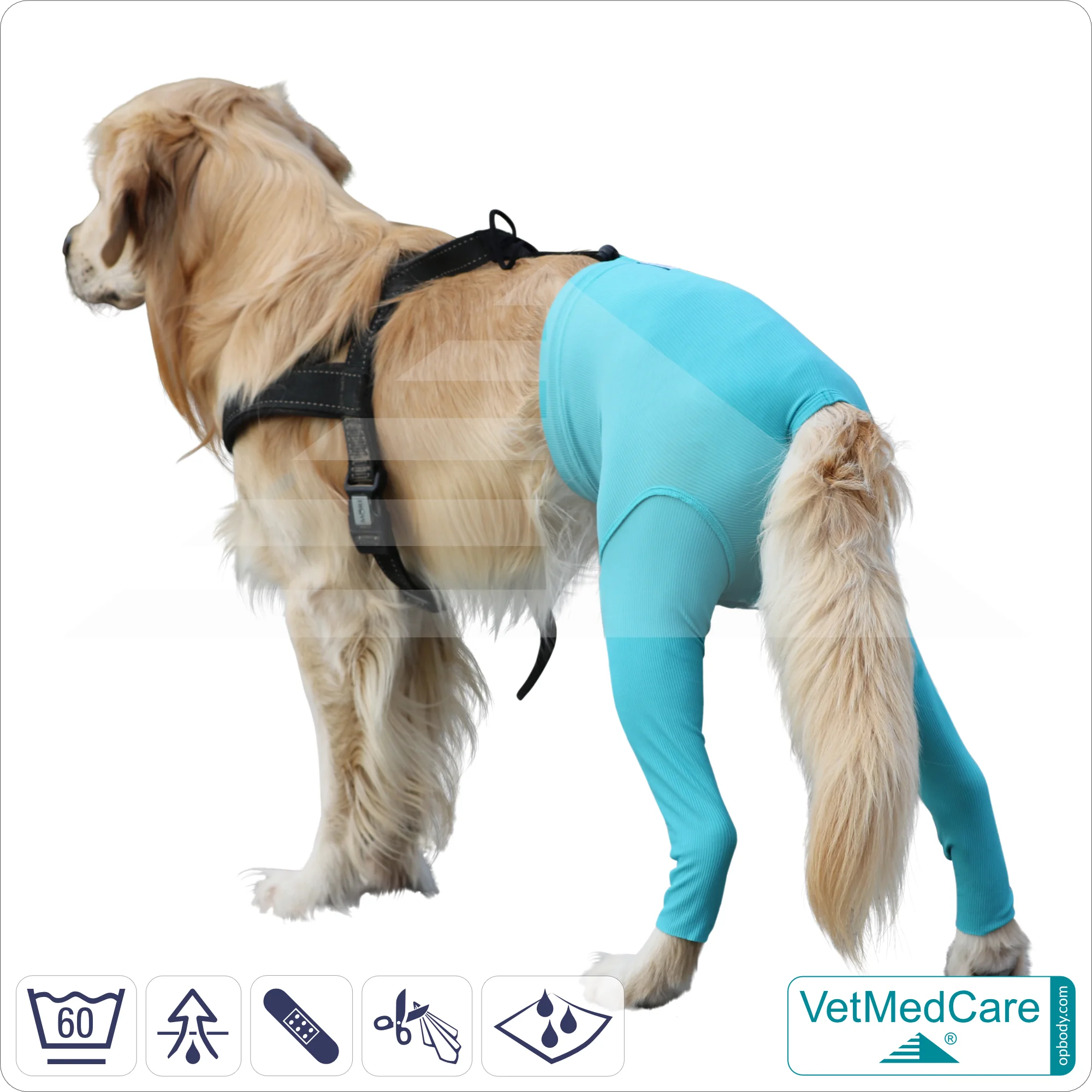 incontinence pants for dogs