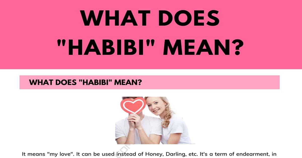 what is habibi