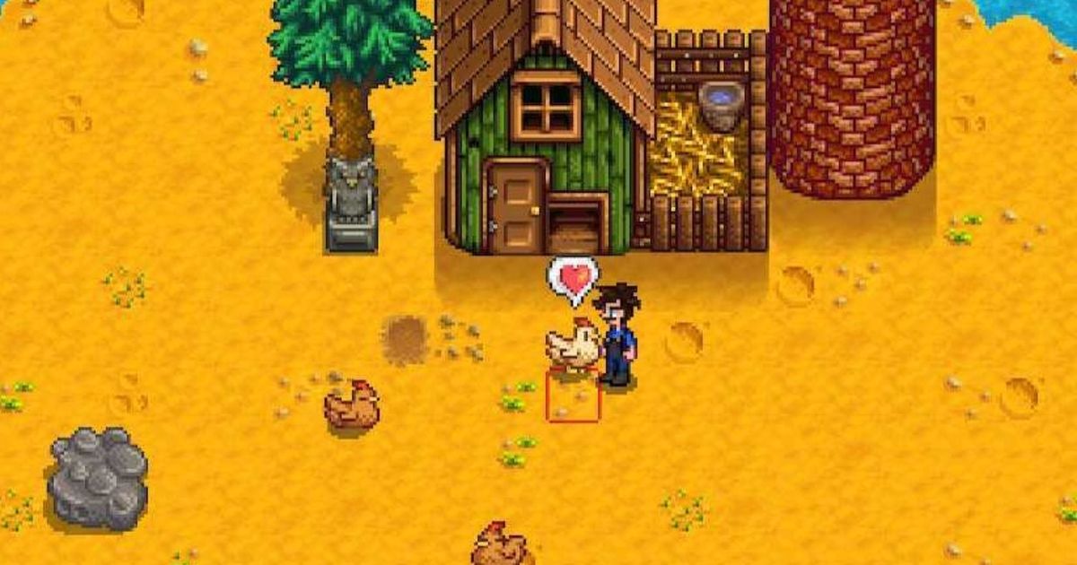 how do you feed the chickens in stardew valley