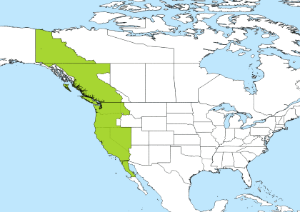 2pm pacific to central