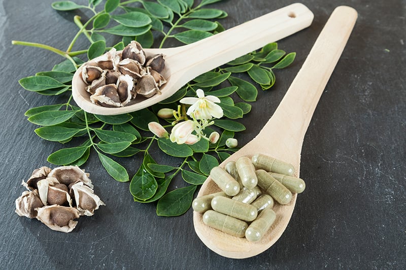 moringa leaf powder side effects