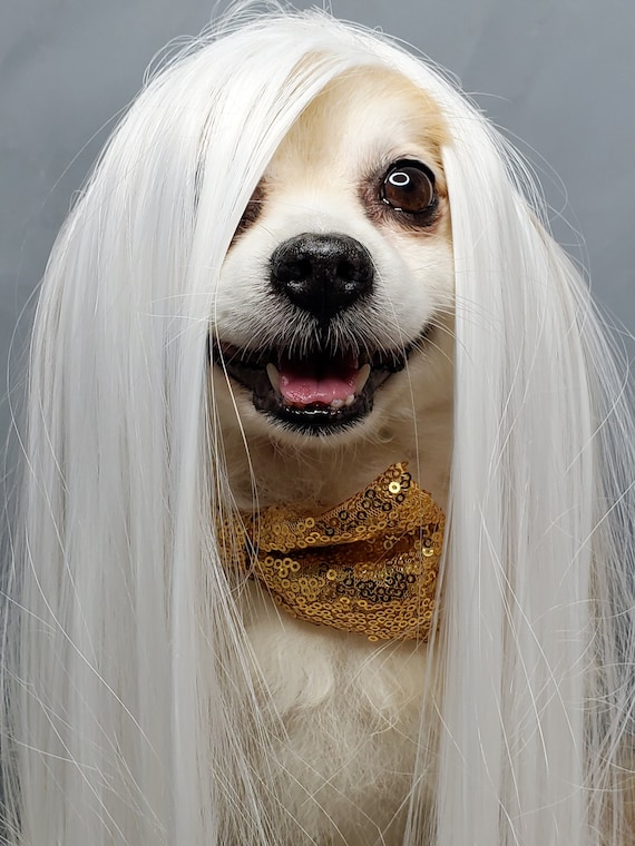 elegant pets wigs