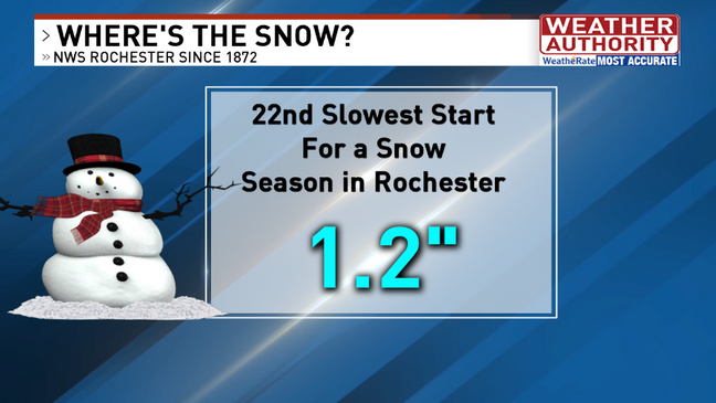 rochester weather november