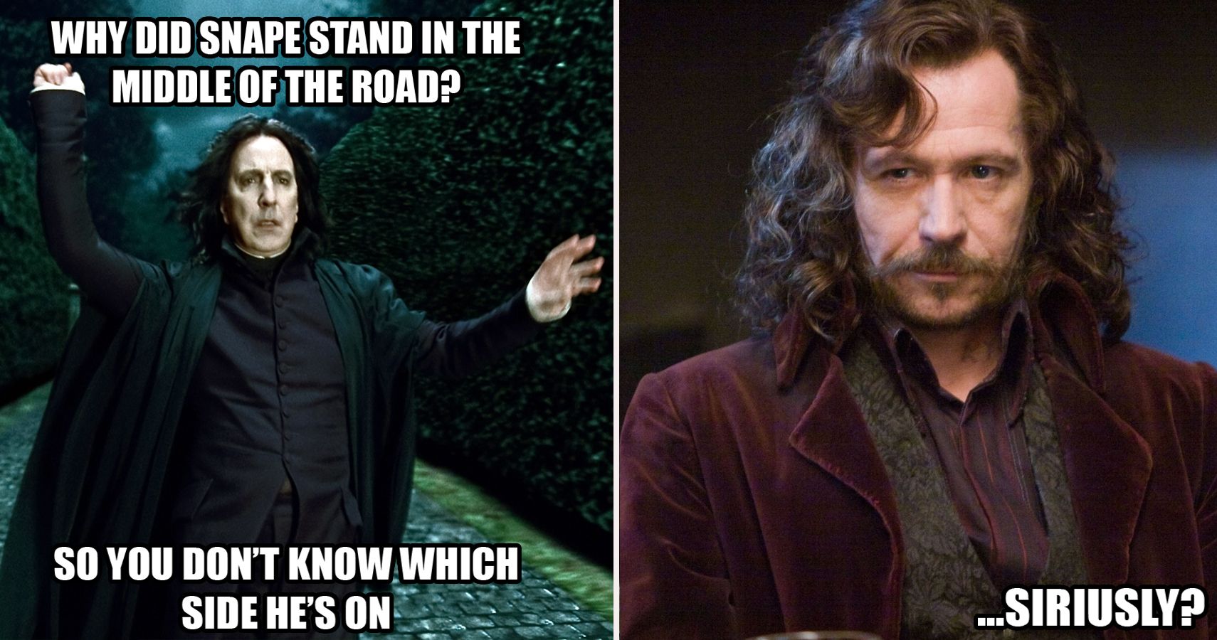 severus snape meme