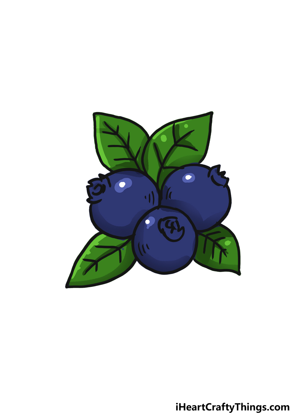 drawn blueberry