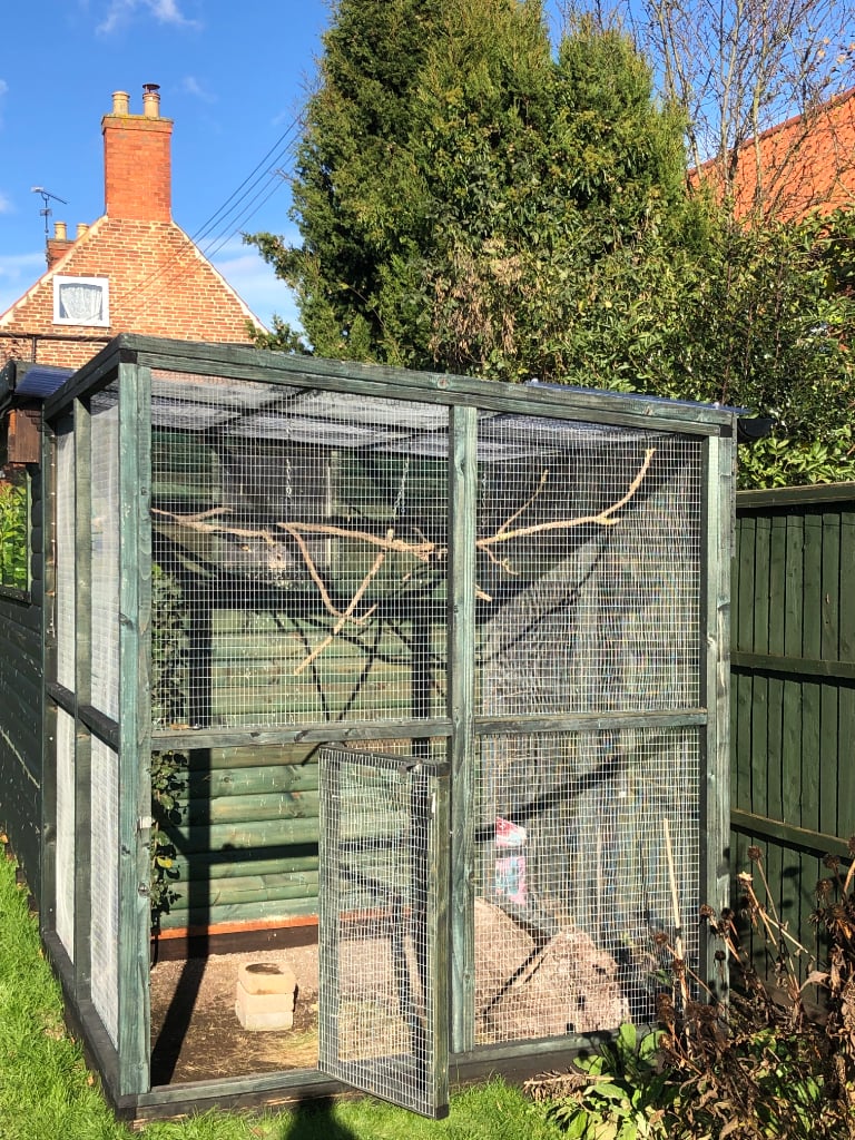 bird aviary for sale near me