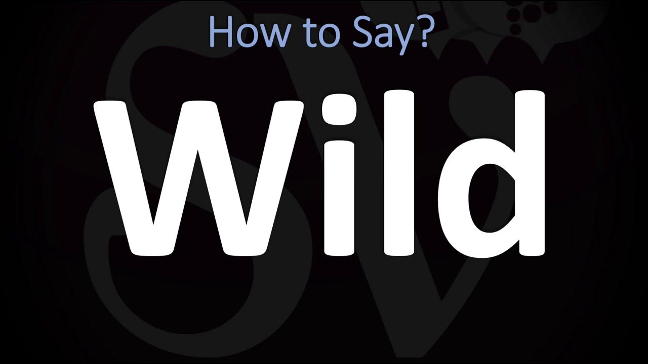 how to pronounce wild