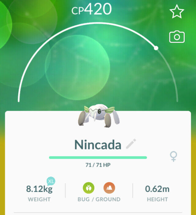 nincada pokemon go