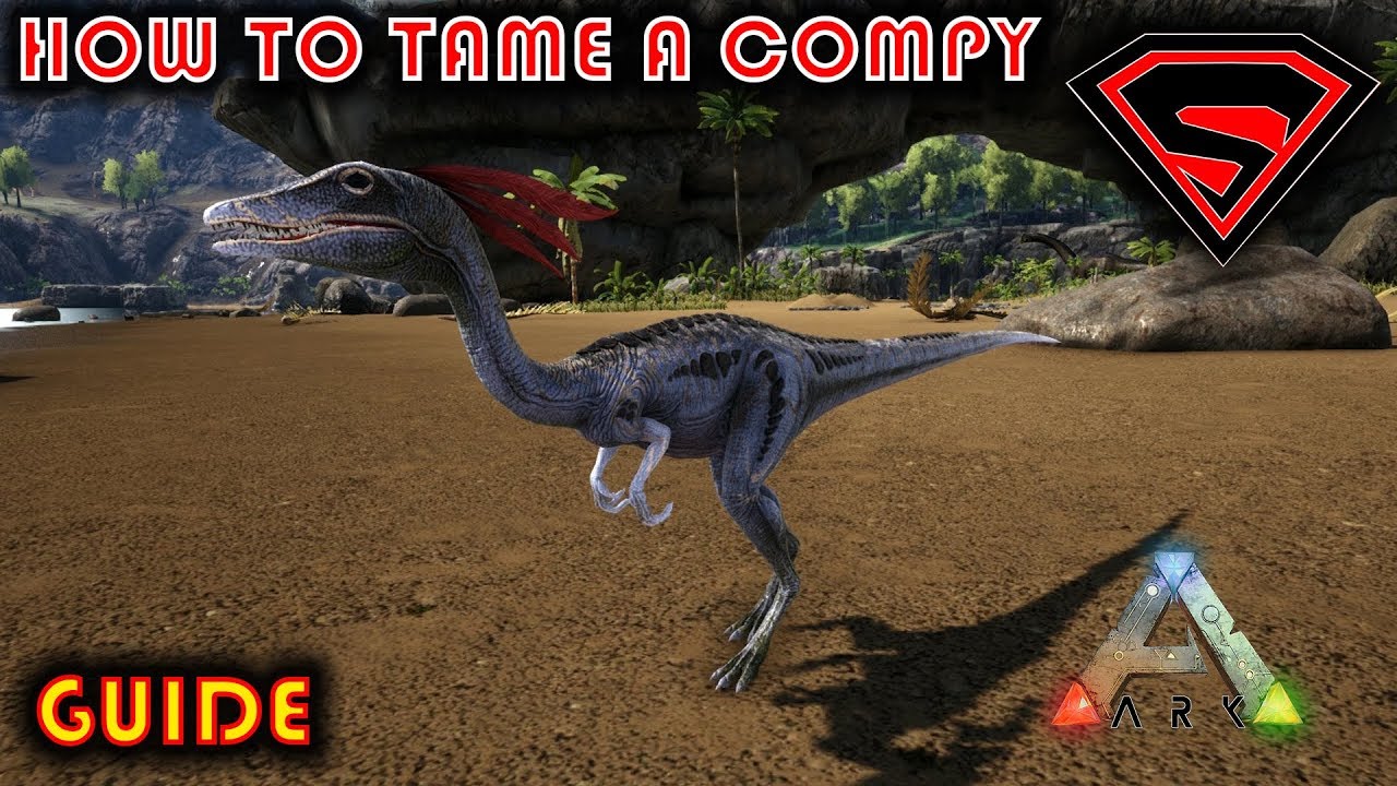 ark compy taming