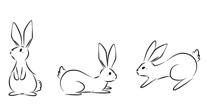 line drawings of rabbits