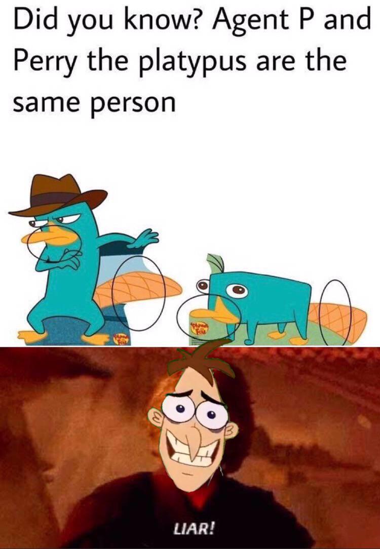 perry the platypus meme