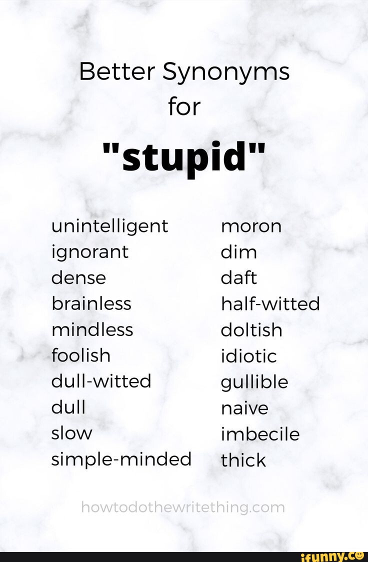 stupid synonyms