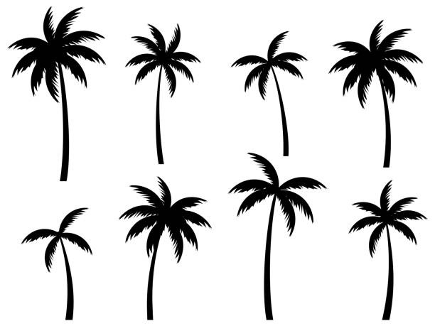 palm trees clipart