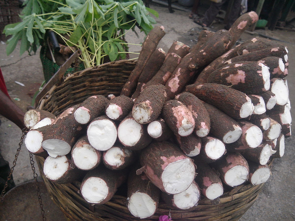 cassava meaning in tamil