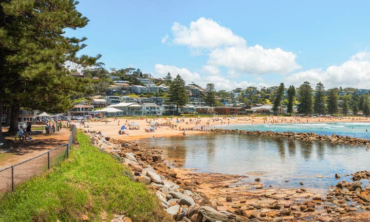 pet friendly accommodation avoca beach