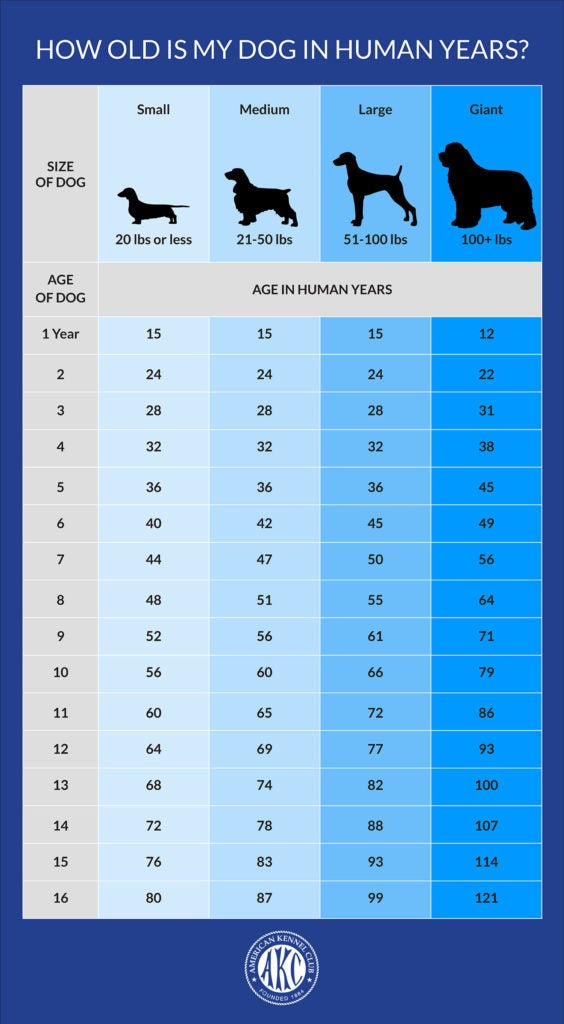 years in dog years chart