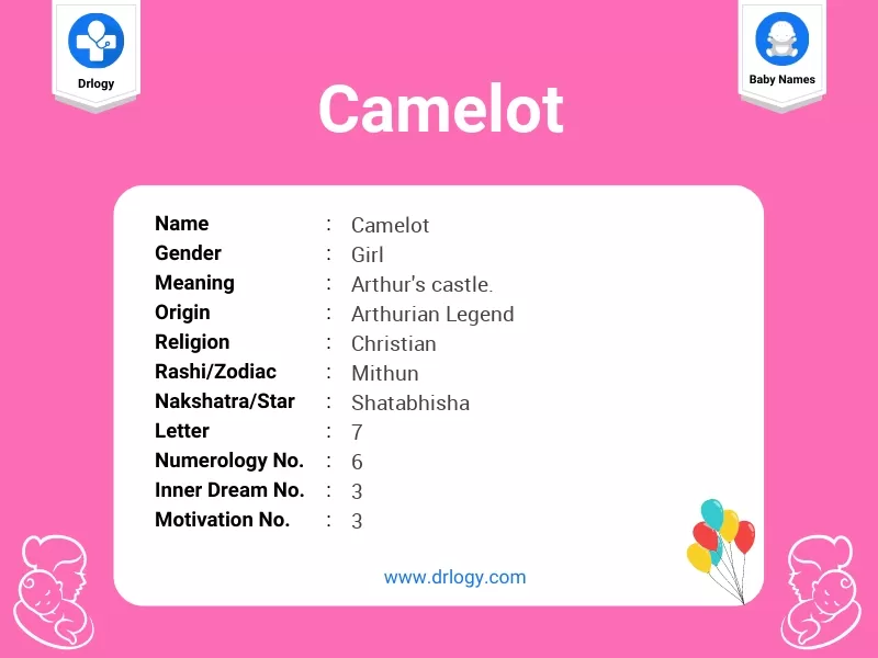 camelot meaning in hindi