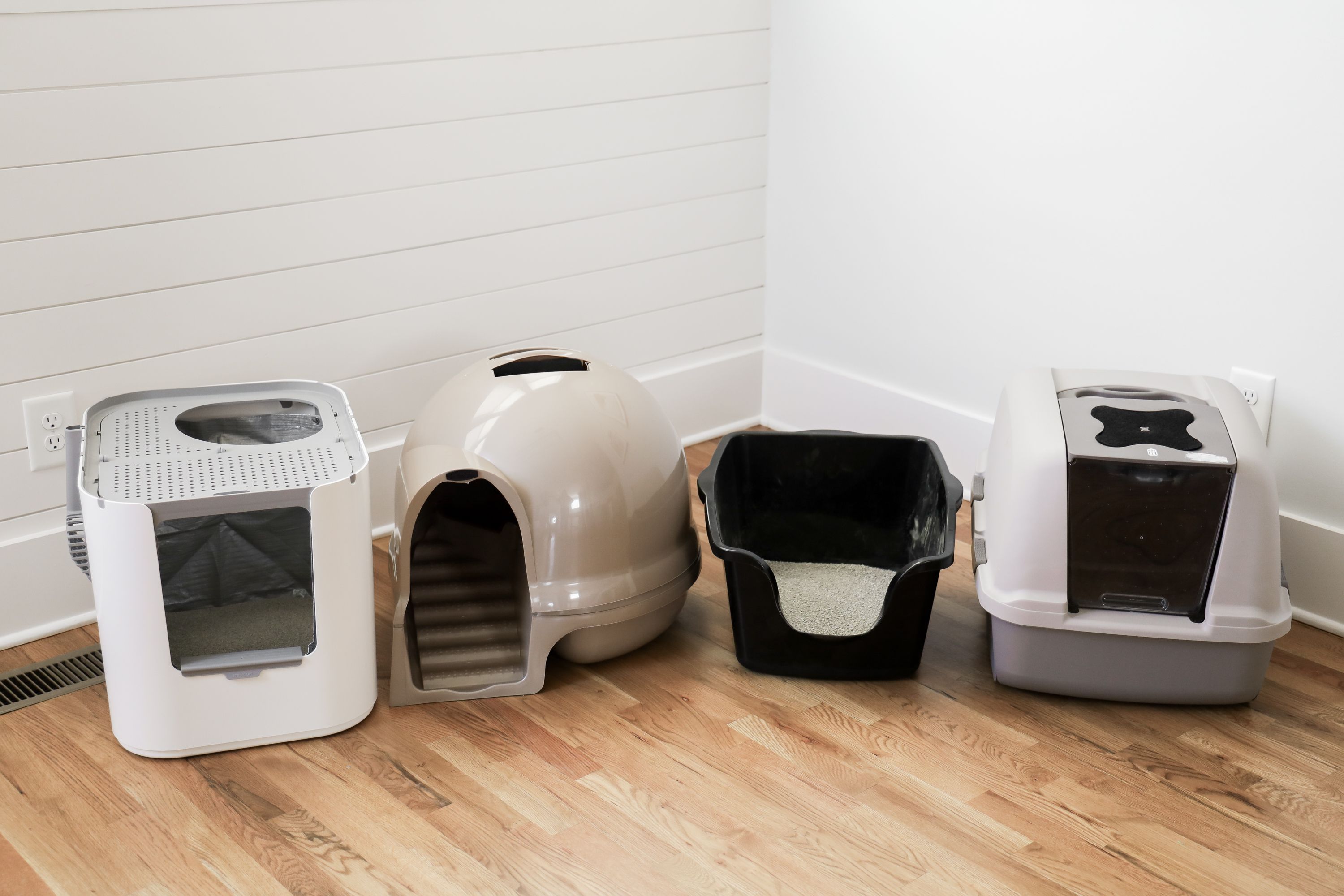 best rated cat litter box