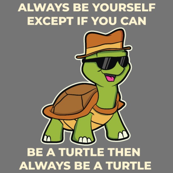 funny turtle quotes