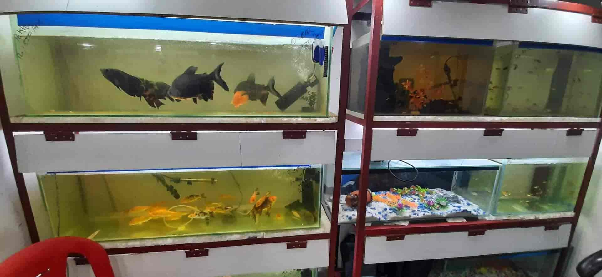 fish pet shop near me