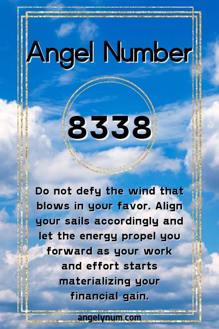 8338 angel number