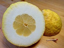 citron meaning in hindi