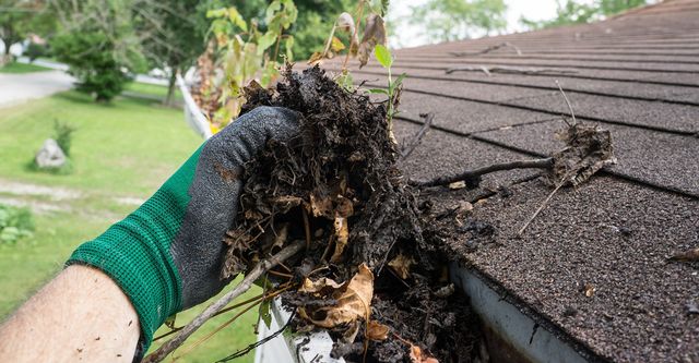 gutter cleaning services near me