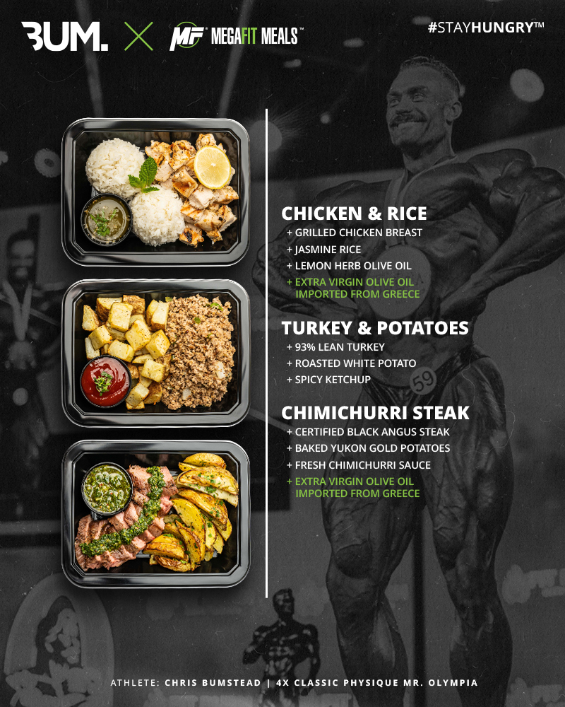 megafit meals