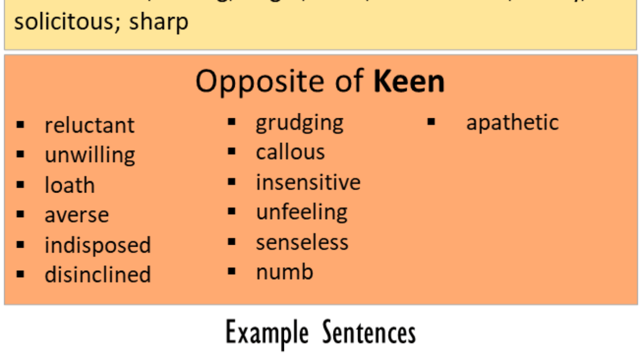 antonyms keen