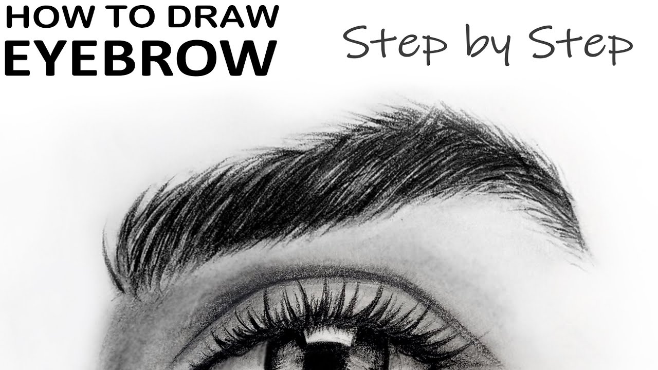 realistic eyebrow drawing