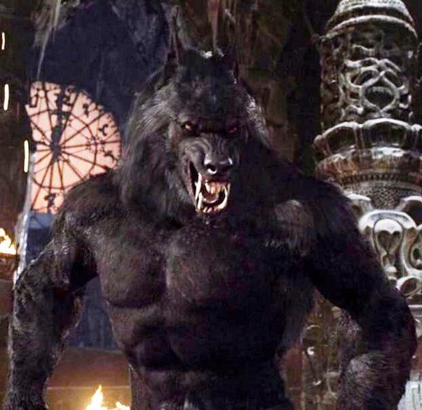 van helsing werewolf