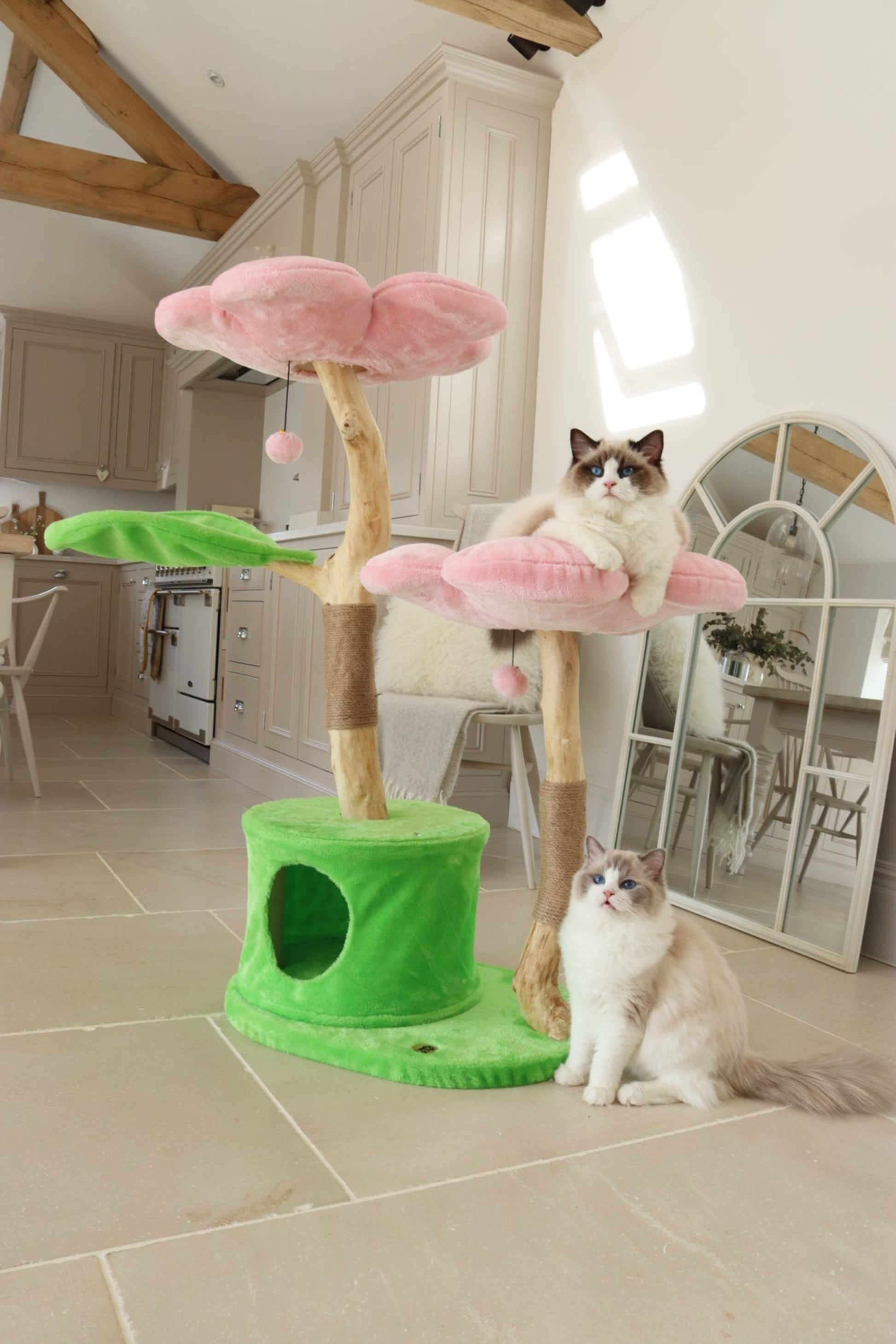 pink cat condo