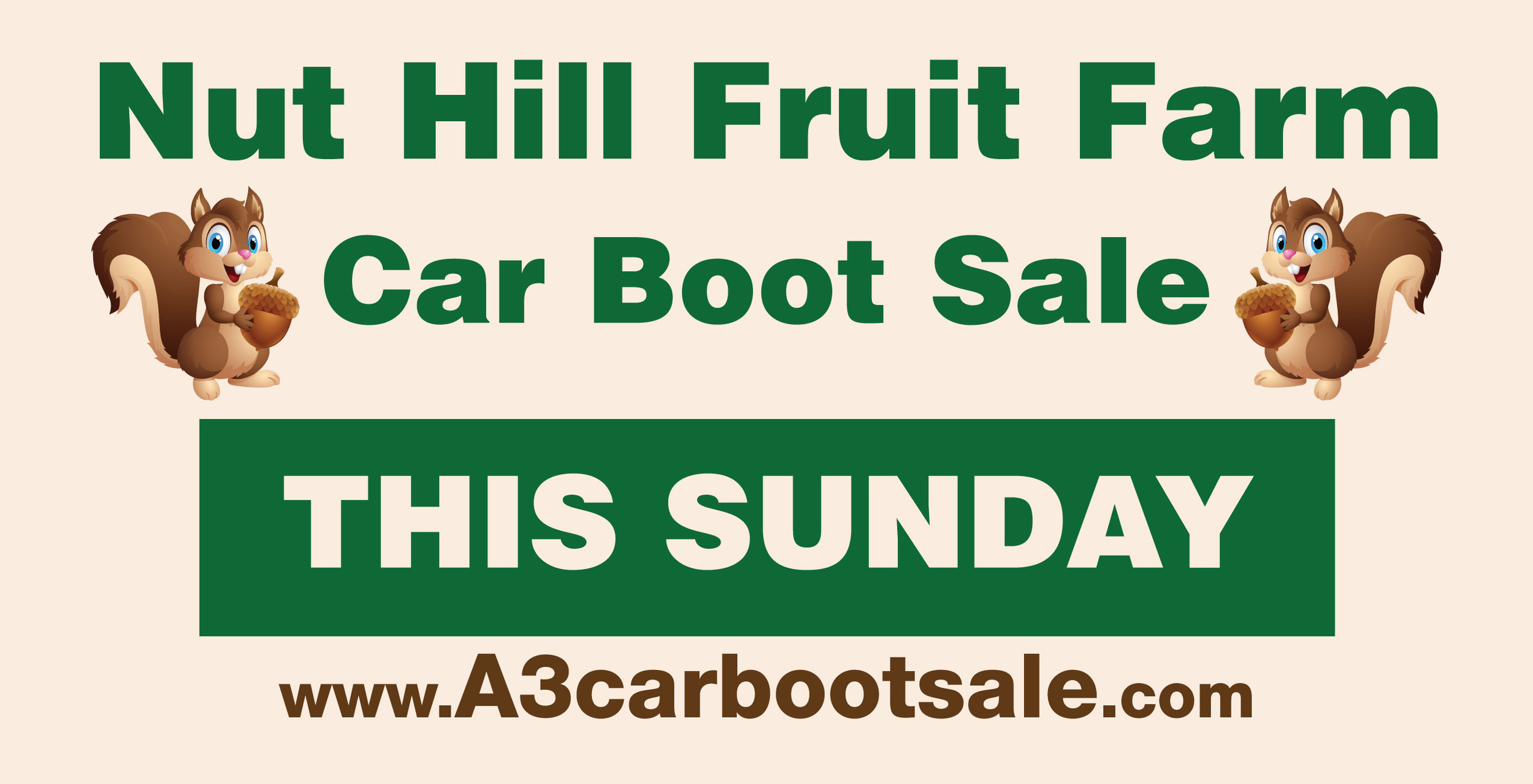 nut hill car boot sale