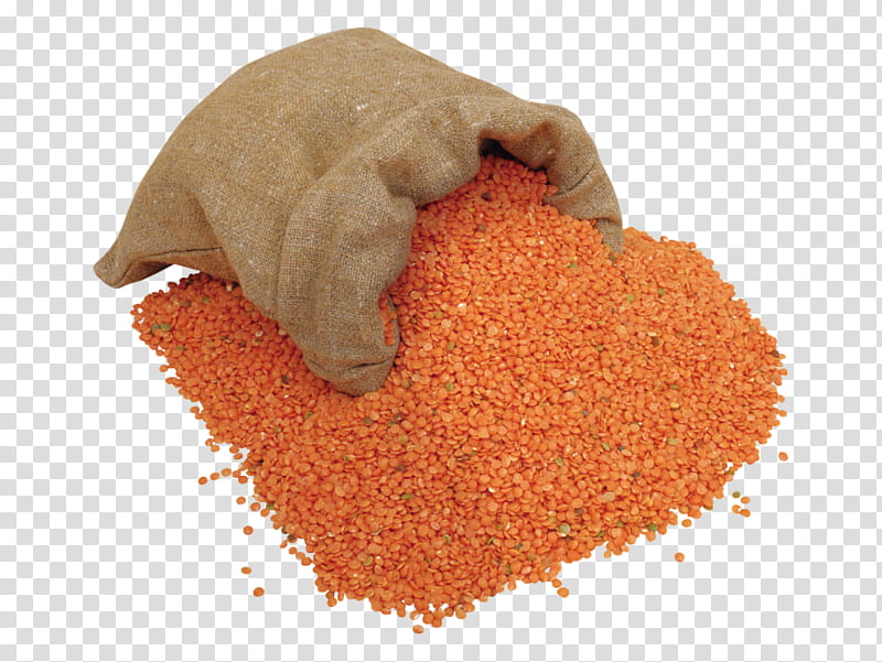 lentils clipart